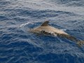 k-IMG_2400